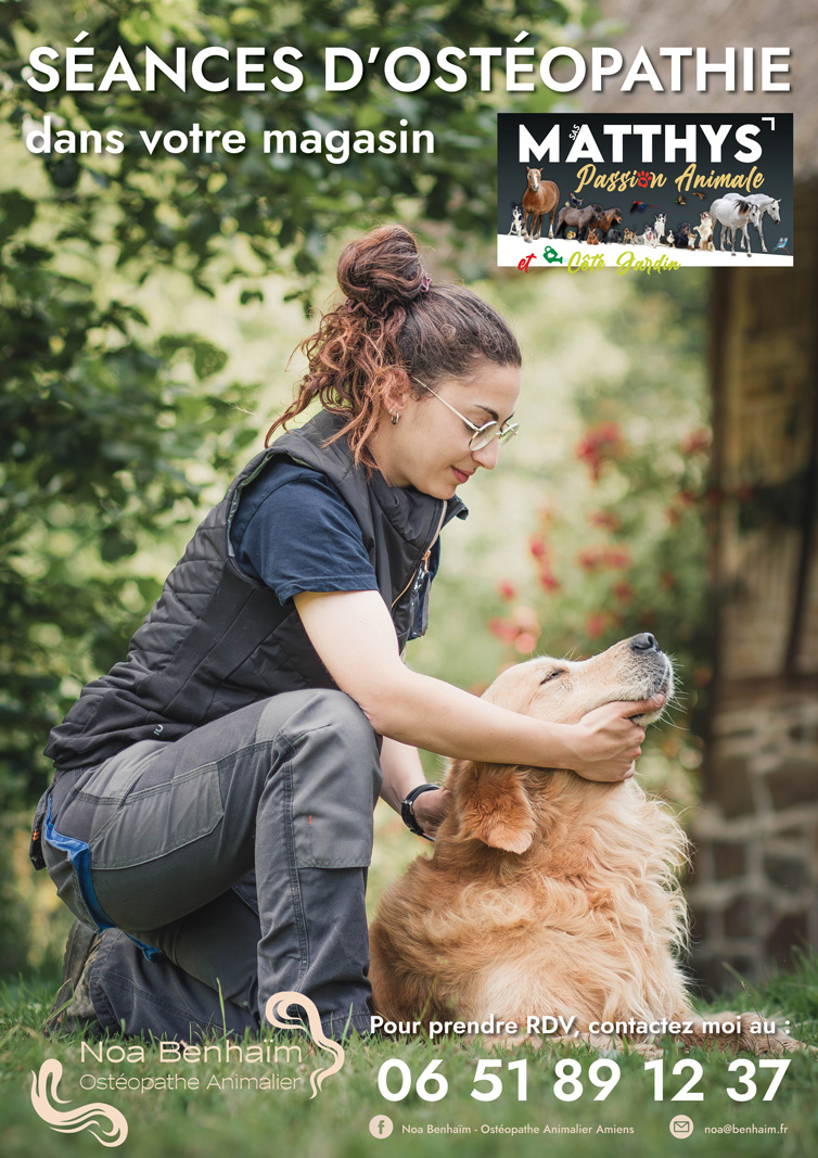 CHARTE GRAPHIQUE OSTEOPATHE PAR MANON KNASKO
